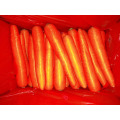 Fresh Carrot Organic Carrot Red Carrot Cheapest Price
